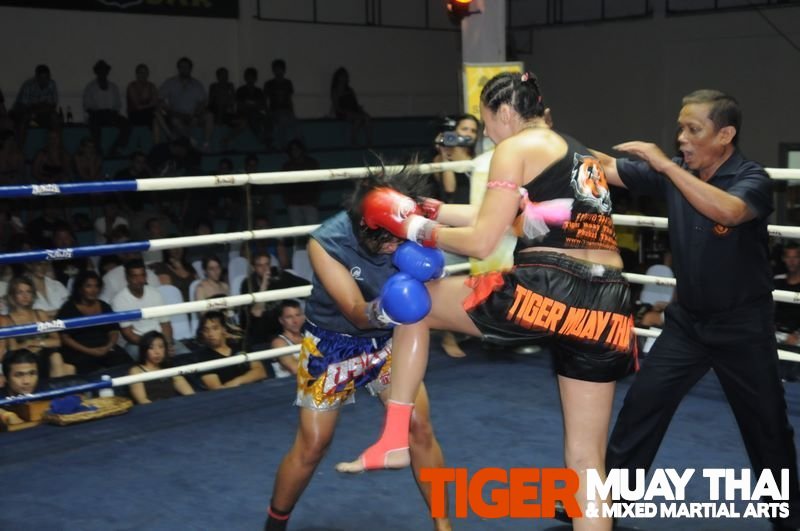 Tmt Women Dominate With 2 Ko S At Patong Stadium Tiger Muay Thai And Mma Training Camp Phuket