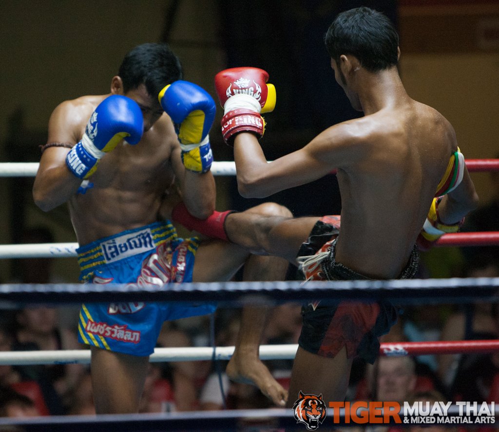Fighting Thai Tiger Muay Thai And Mma Training Camp Fights August 15 2013