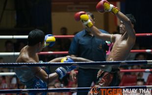 Tiger Muay Thai fighter Polydang fights at Patong Sainamyen Road stadium in Phuket, Thailand, Thursday, Aug. 15, 2013. (Photo by Mitch Viquez Â©2013)