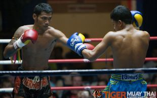 Tiger Muay Thai fighter Polydang fights at Patong Sainamyen Road stadium in Phuket, Thailand, Thursday, Aug. 15, 2013. (Photo by Mitch Viquez Â©2013)