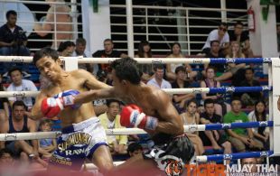 Tiger Muay Thai fighter Phetdam fights at Bangla boxing stadium in Phuket, Thailand, Wednesday, Sep. 11, 2013. (Photo by Mitch Viquez Â©2013)