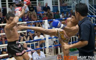 Tiger Muay Thai fighter Matt Te Paa fights at Bangla boxing stadium in Phuket, Thailand, Wednesday, Sep. 25, 2013. (Photo by Mitch Viquez Â©2013)