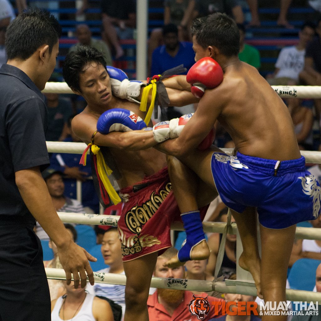 Fighting Thai Tiger Muay Thai And Mma Training Camp Guest