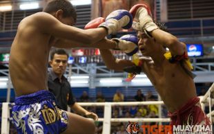 Tiger Muay Thai fighter Hongthong fights at Bangla boxing stadium in Phuket, Thailand, Wednesday, Aug. 14, 2013. (Photo by Mitch Viquez Â©2013)