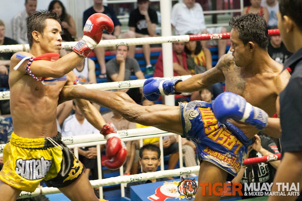 Fighting Thai Tiger Muay Thai And Mma Training Camp Guest Fights August