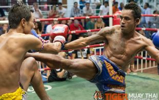 Tiger Muay Thai fighter Phetdam fights at Bangla boxing stadium in Phuket, Thailand, Friday, Aug. 2, 2013. (Photo by Mitch Viquez Â©2013)
