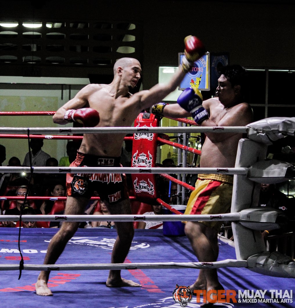 Fighting Thai Tiger Muay Thai And Mma Training Camp Guest Fights