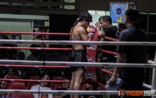 Tiger Muay Thai & MMA Training Camp Guest Fights February 3rd, 2014 including Matt Te Pa, Ncedo Dombor and Tiger Muay Thai Trainer Chainarit at Patong Stadium in Phuket, Thailand.