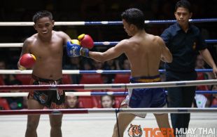 Tiger Muay Thai fighter Ngoo at Patong Sainamyen Road stadium in Phuket, Thailand, Thursday, Jun. 20, 2013. (Photo by Mitch Viquez Â©2013)