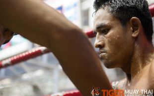 Tiger Muay Thai fighter Petdam fights at Bangla stadium in Phuket, Thailand, Friday, Jun. 21, 2013. (Photo by Mitch Viquez Â©2013)