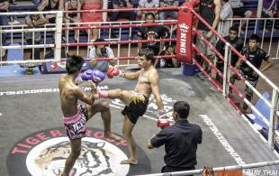 Tiger Muay Thai & MMA Training Camp Guest Fights March 5th, 2014 including Andre Pereira from Brazil and Matt Tepaa from New Zealand at Bangla Stadium in Phuket, Thailand.
