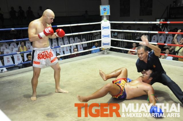 PUNCHING BALL JUNIOR COMBAT – Tigre Thai