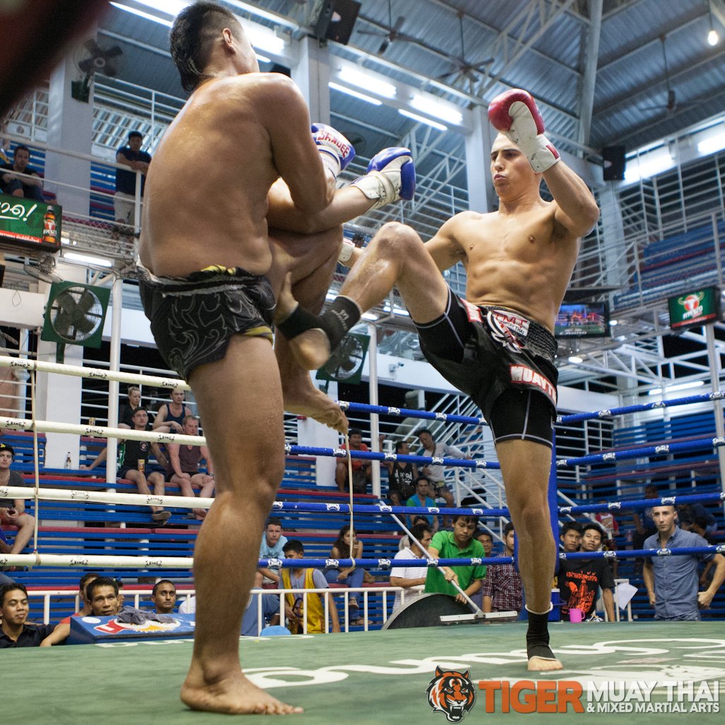 Fighting Thai » Tiger Muay Thai & MMA Training Camp Guest Fights June ...